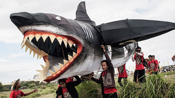 Bali Festival of Kites - Shark Kite